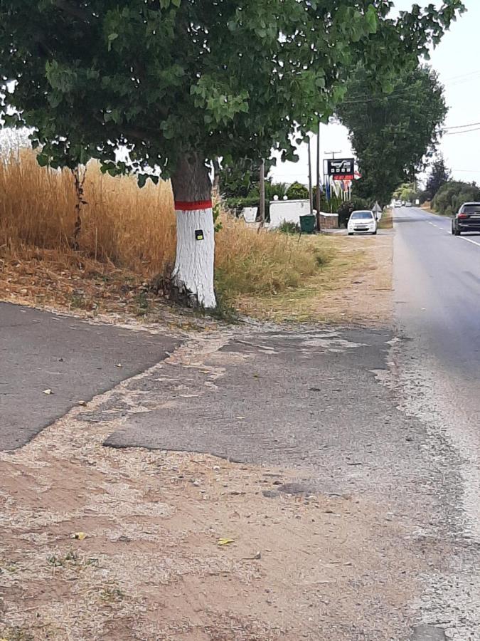 Beautiful Sani Villa מראה חיצוני תמונה