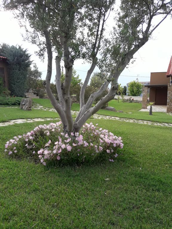 Beautiful Sani Villa מראה חיצוני תמונה